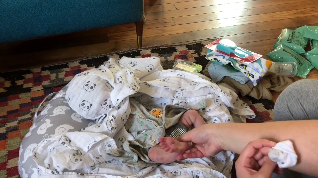 It’s a boy!! Full body silicone box opening (Forest by Caroline Nelsen)👶🏻🍼💙