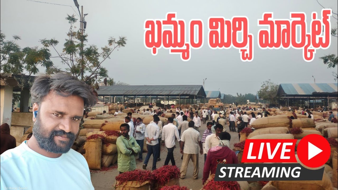 ఈరోజు ఖమ్మం మిర్చి మార్కెట్ నుండి లైవ్ #RayThuNeSthaM is live  today Khammam mirchi market live #vsr