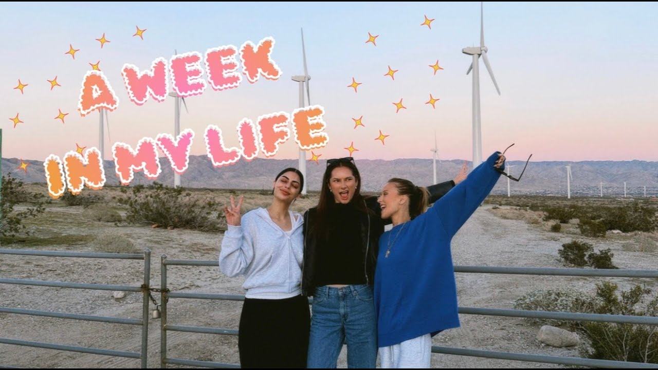 Moving Houses & Losing My Sanity One Box at a Time