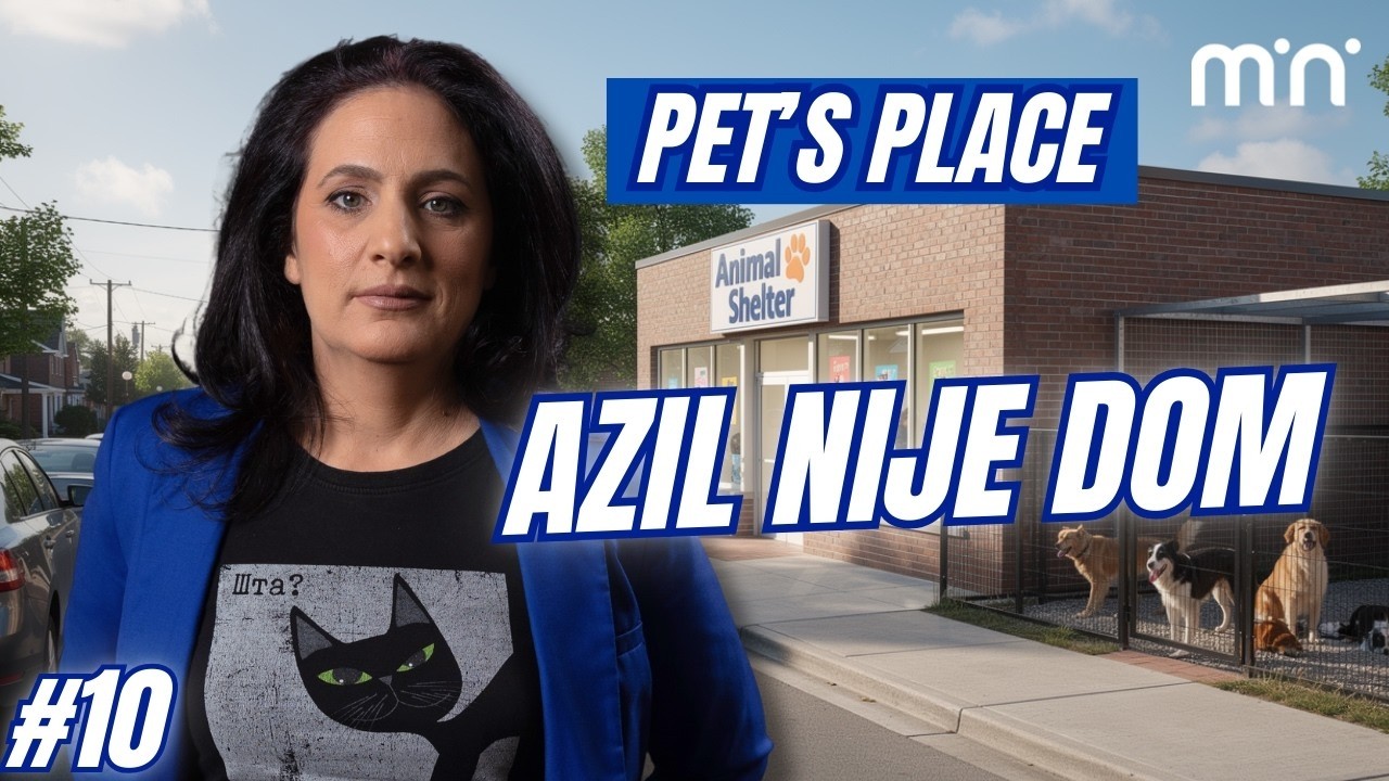 Azil nije dom: Zašto je za štence to često pitanje života i smrti | Pets Place Ep10