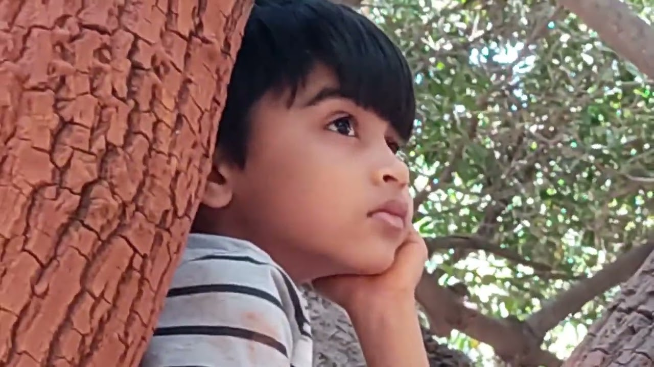 Vanvihar Tree Resort @ Jamnagar