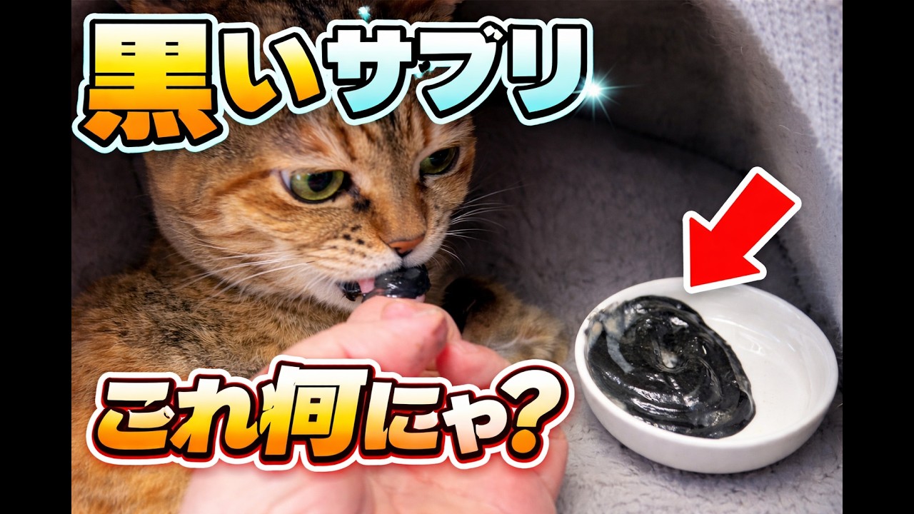 【猫が亡くなる原因の第一位は腎臓病！毒素排出サプリ始めました！】