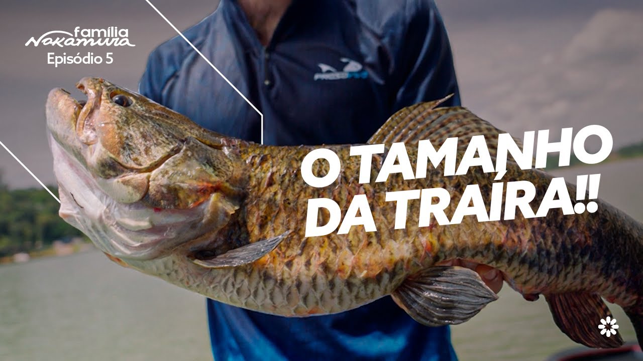 AS MAIORES TRAÍRAS DA REPRESA BILLINGS