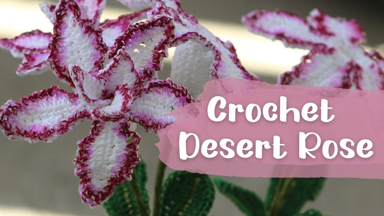 Revisiting the Crochet Desert Rose. Dive into its Color Tricks and Assembly