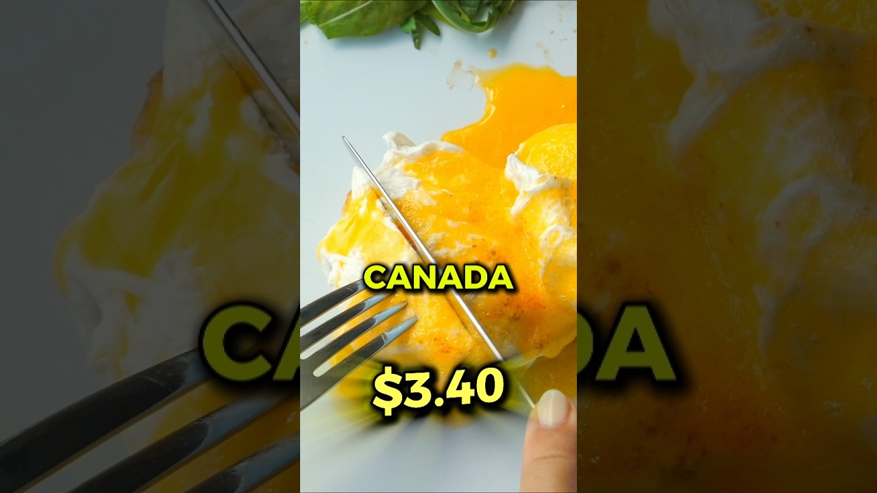 How Much Does a Dozen Eggs Cost in These Wealthy Countries!