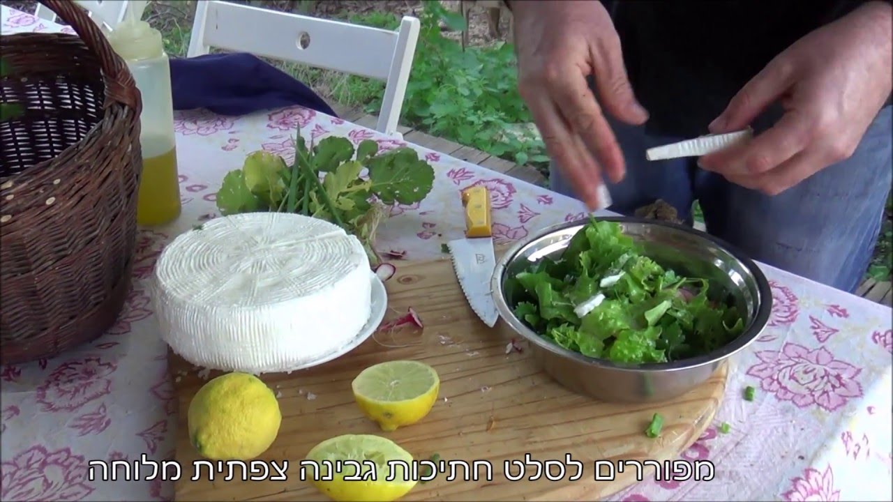 סלט ירוק עם גבינה צפתית מלוחה של חנן הגבן