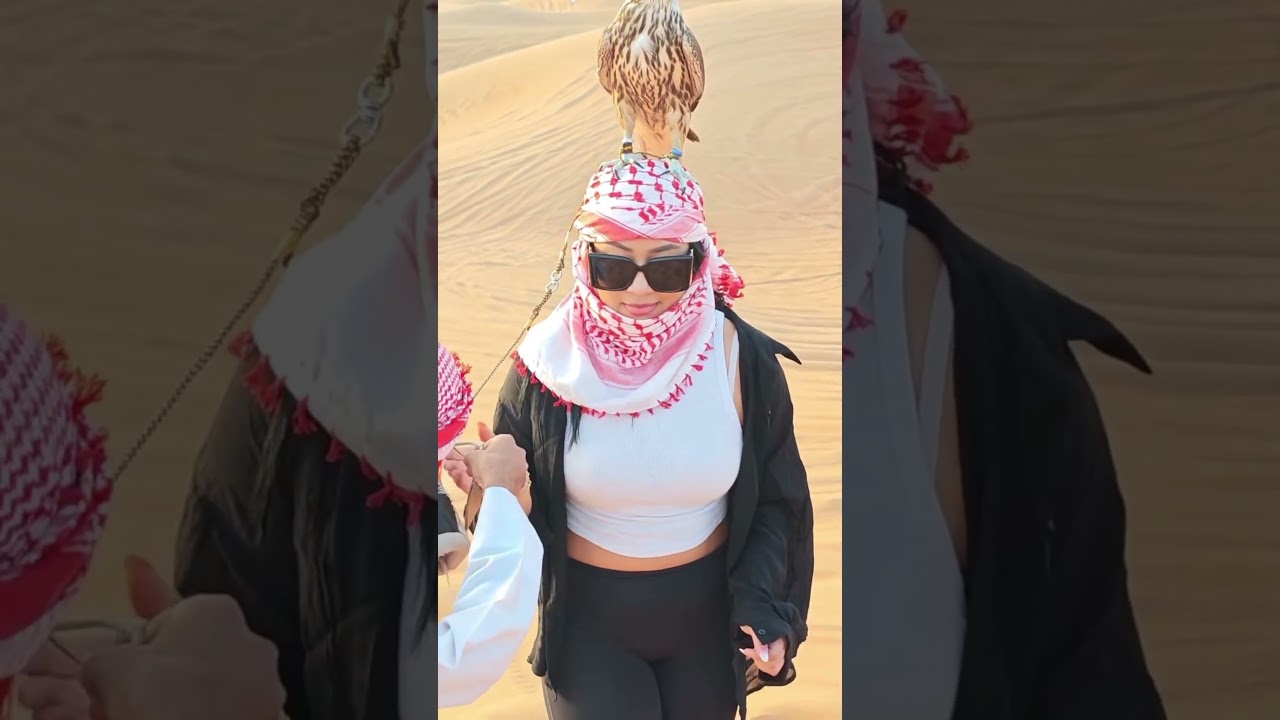 Dubai Desert Safari- Pure Adrenaline #desertlife #desertadventures #dubaisafari