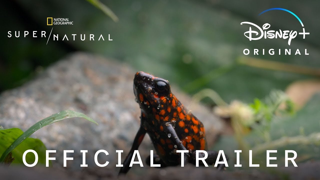 Super Natural | Official Trailer | Disney+