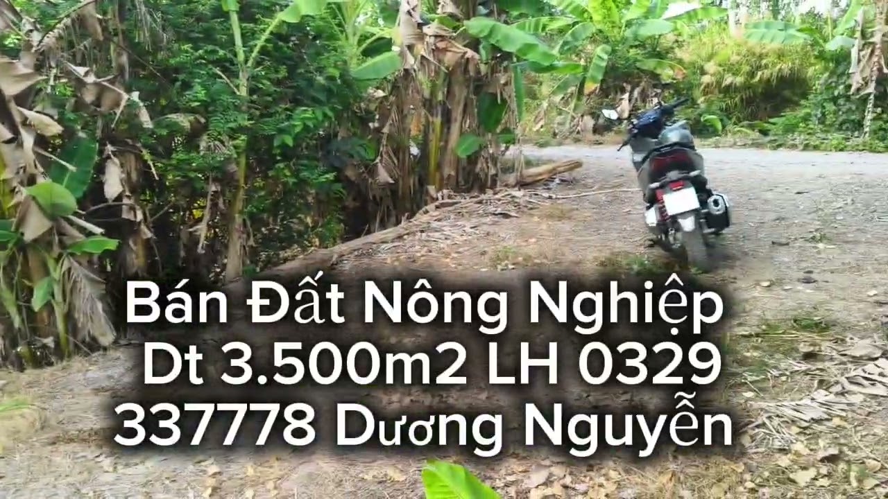 Nhà Đất Bán Đất Nông Nghiệp Dt 3.500m2 Giá 250tr Công/1000m2 Tân Thạnh Long An Cũ Tây Ninh Mới 