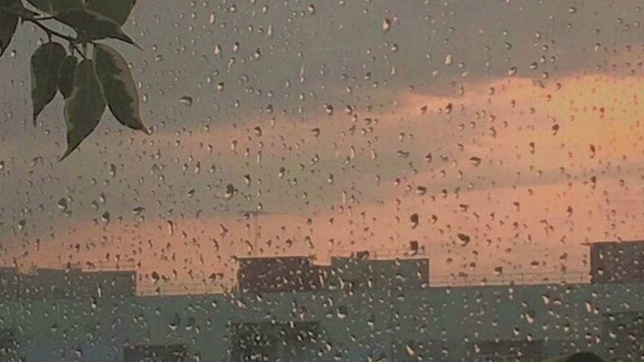 Thunder and rain | Dandelions (slowed + reverb)