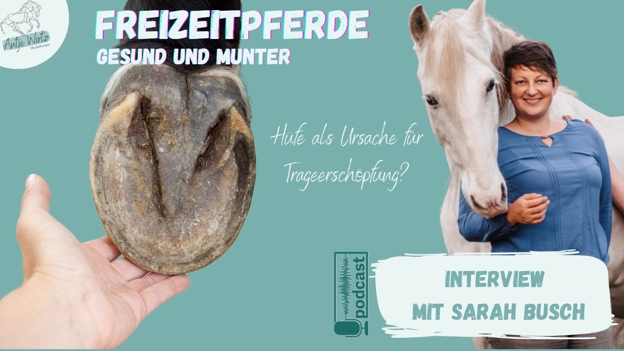 Hufe als Ursache für Trageerschöpfung?