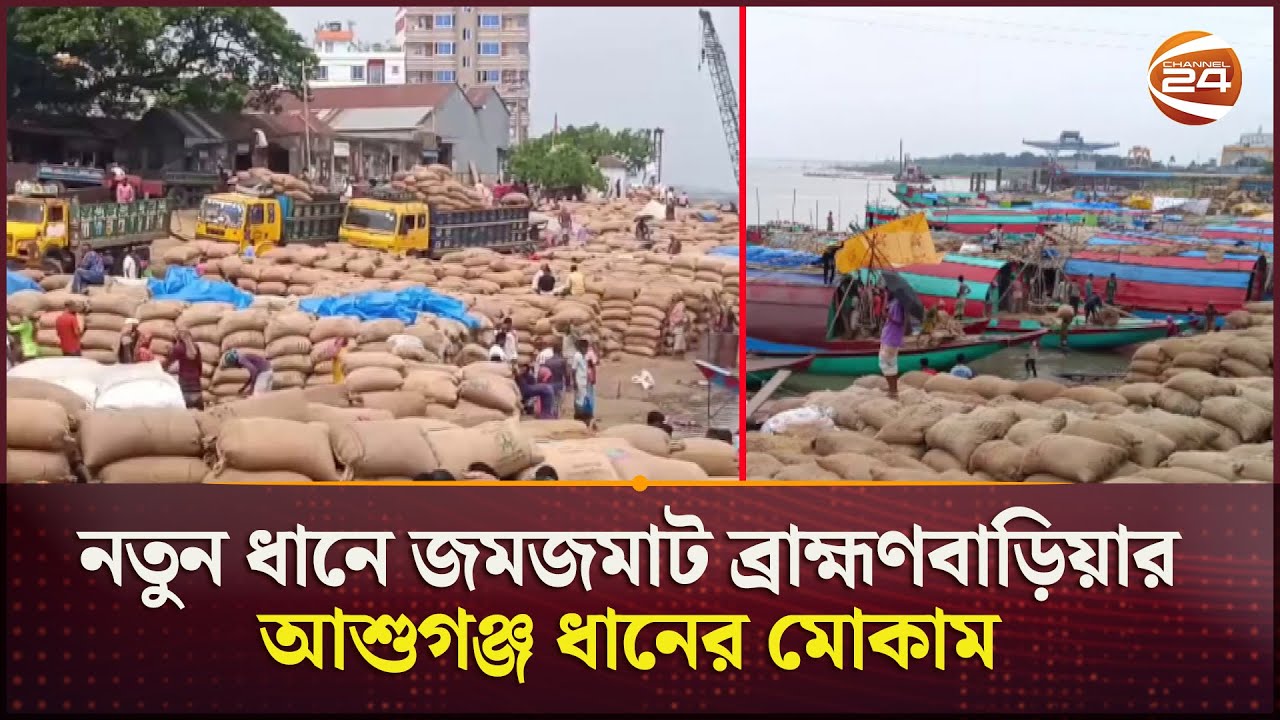 এই মোকামে প্রতিদিন বিক্রি হচ্ছে ৬০-৭০ হাজার মণ ধান! | Ashuganj Paddy Market | Channel 24