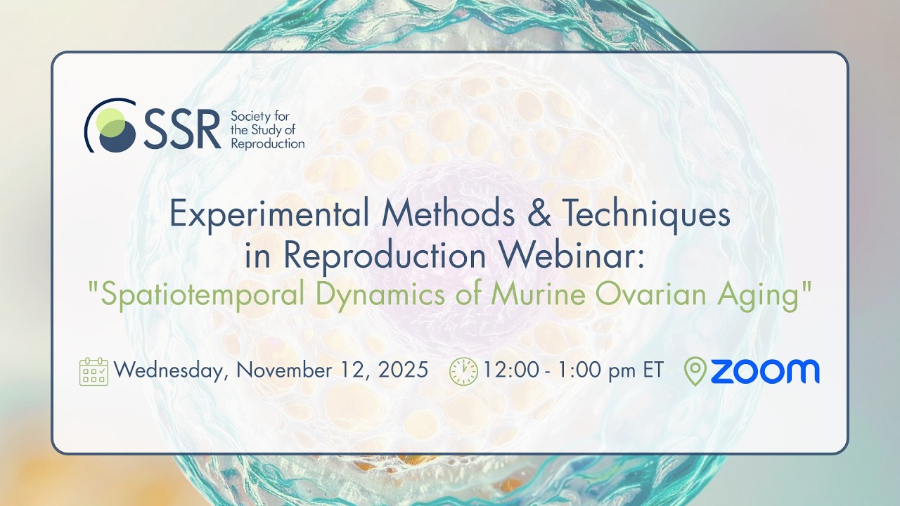 11.12.2025 - Experimental Methods and Techniques