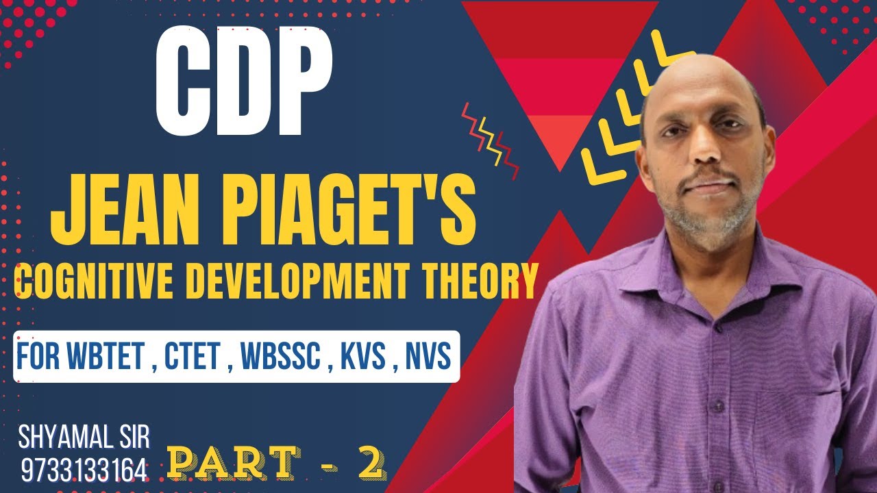 Part -2 CDP Piaget's Theory Of Cognitive Development পিঁয়াজের জ্ঞানমূলক বিকাশ । #education