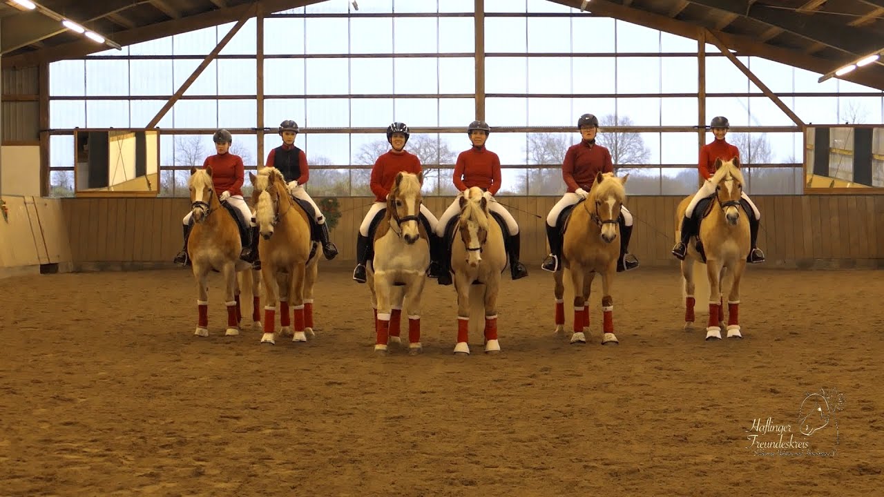 Quadrille des Haflinger Freundeskreis SH_HH Weihnachtsreiten 2024
