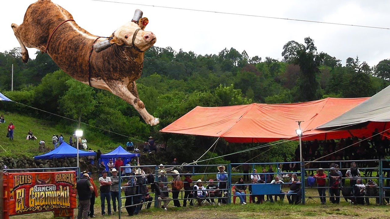 LLEGO RAYITO DE LA TENENCIA Y JINETES LOBOS VS TOROS DEL GUAMUCHIL! JARIPEO SANTA ANA CHAPITIRO 2025