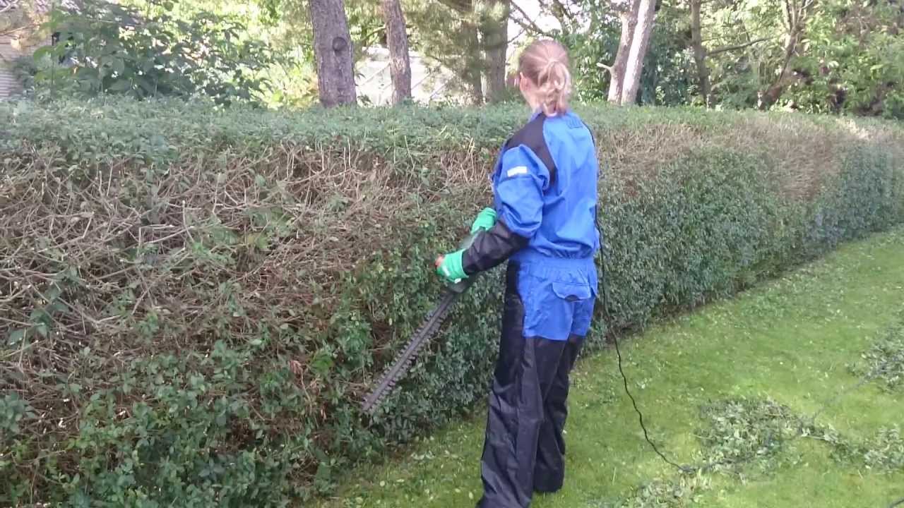 Maskinell häckklippning