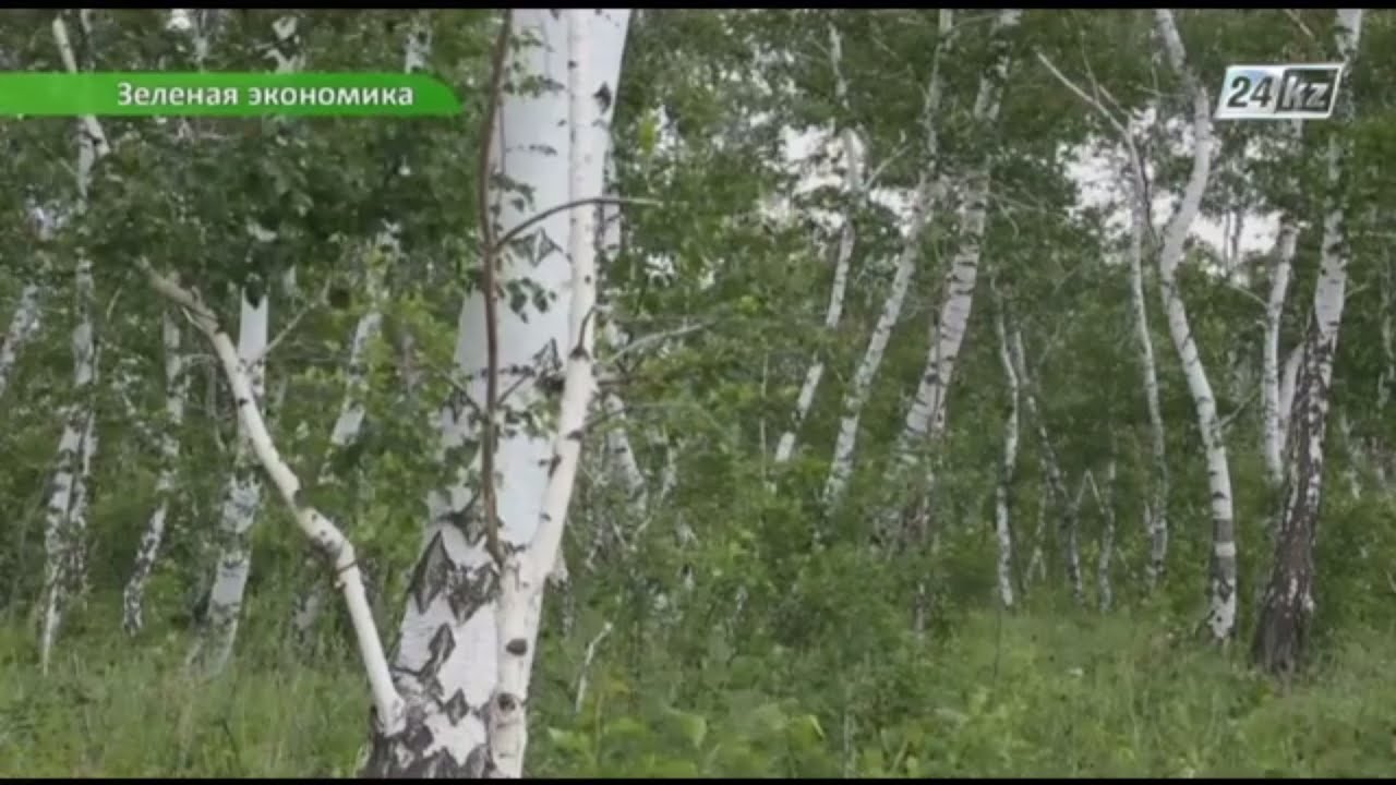 Зеленая экономика. Озеленение Астаны
