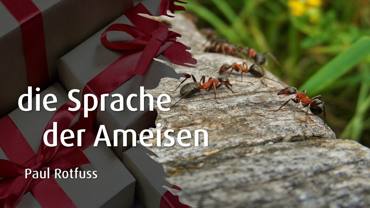 Die Sprache der Ameisen | Heiligabend | Paul Rotfuss | 24.12.2025