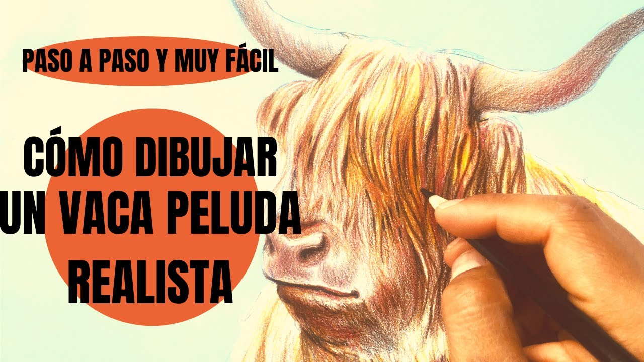 😱✏Te digo Cómo se Dibuja Una Vaca Peluda de las tierras altas de Escocia realista Paso a Paso 🔥👌
