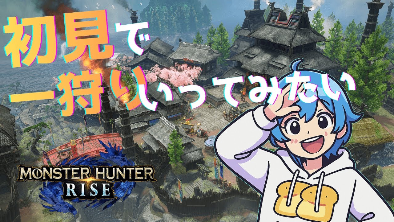 初見モンハンライズ【参加型の可能性】