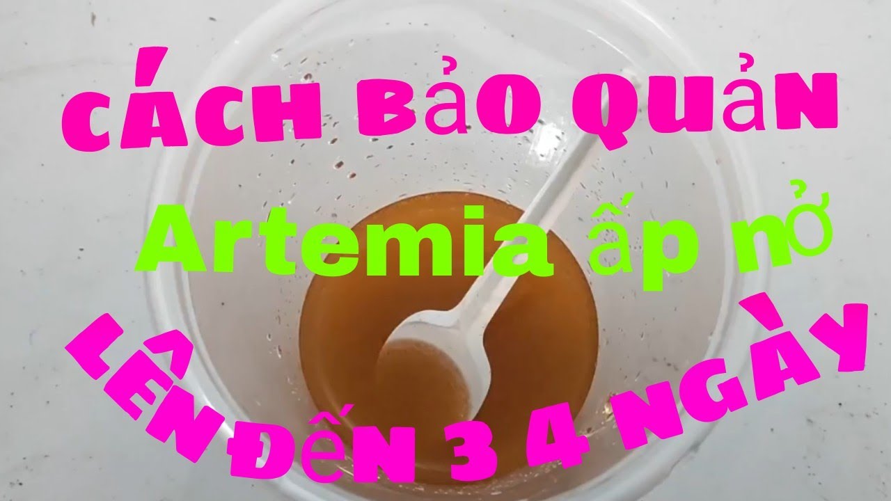 Cách bảo quản Artemia ấp nở khi sử dụng không hết - Duy Bần Aquatic