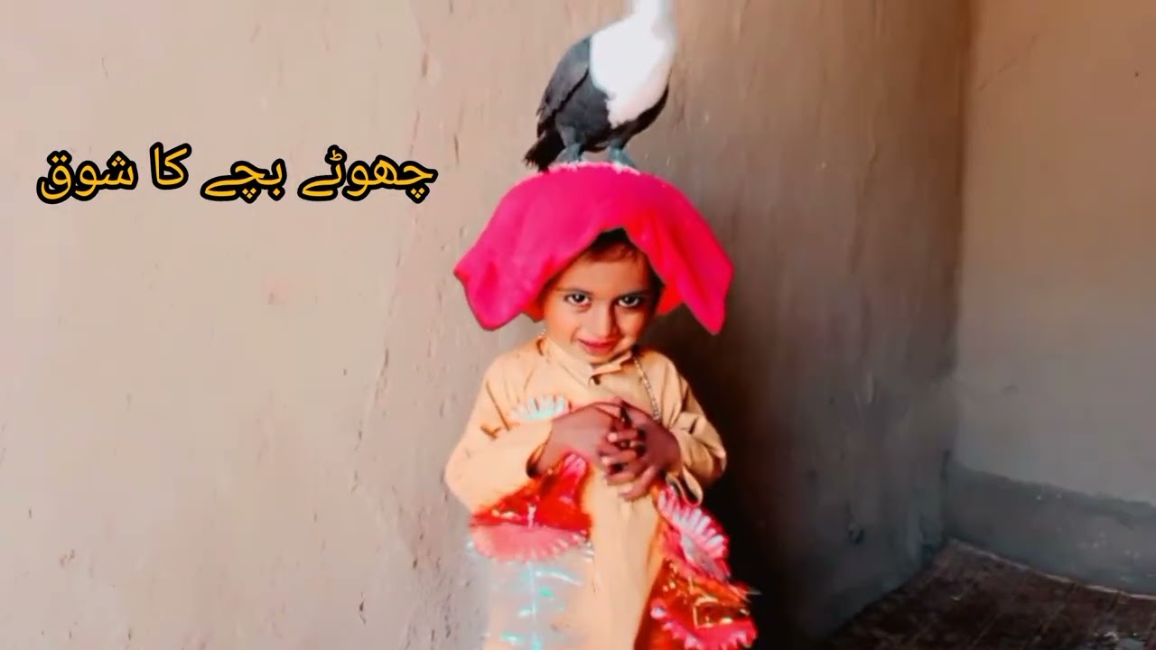 چھوٹے بچے کی ضد اور اس کے فیورٹ کبوتر کے ساتھ خاص ویڈیو ❤️🕊️