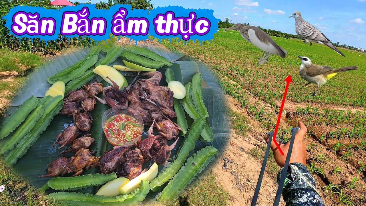Dùng Ná Cao Su Săn Bắn Làm Món Quê Đồ Đồng 