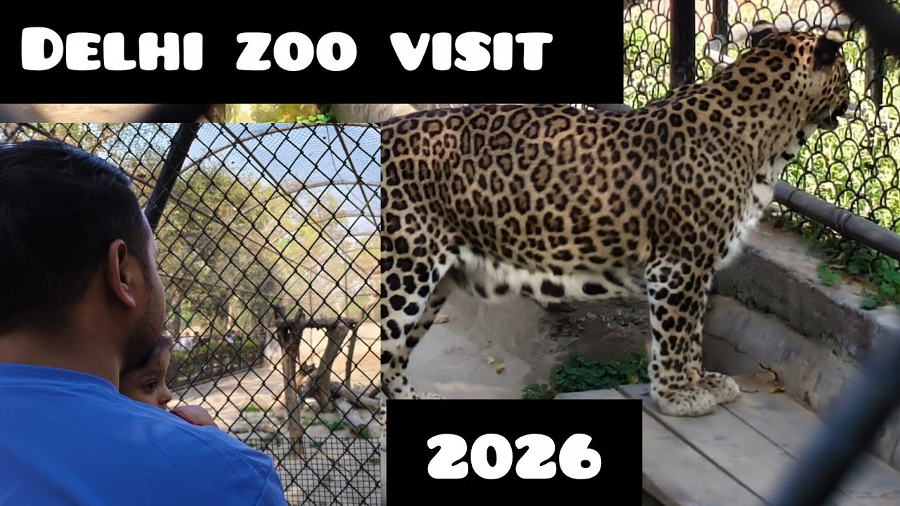  National Zoological park Delhi 2026🐯🐊🦁 🤠|full Tour ||youtube videos||vlog...