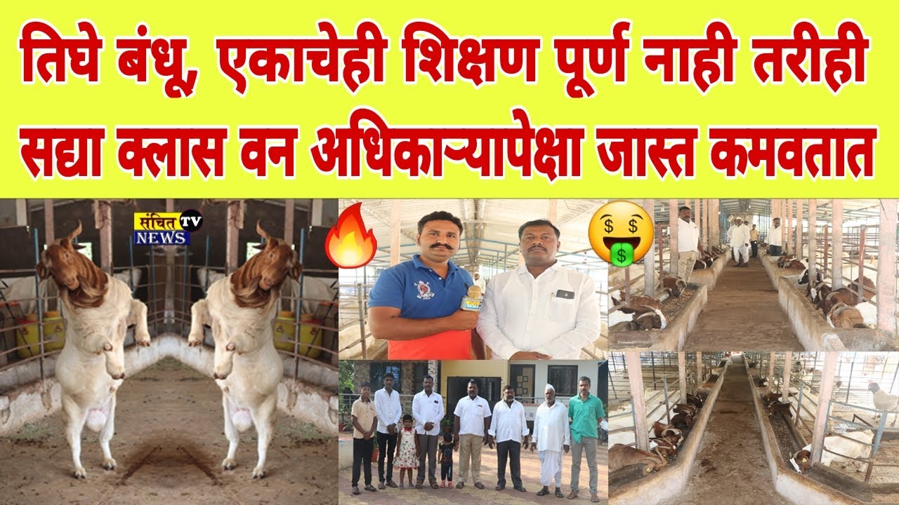तिघे बंधू मात्र एकाचेही शिक्षण पूर्ण नाही, तरीही सध्या क्लास वन अधिकारी पेक्षा जास्त कमावतात. 😱
