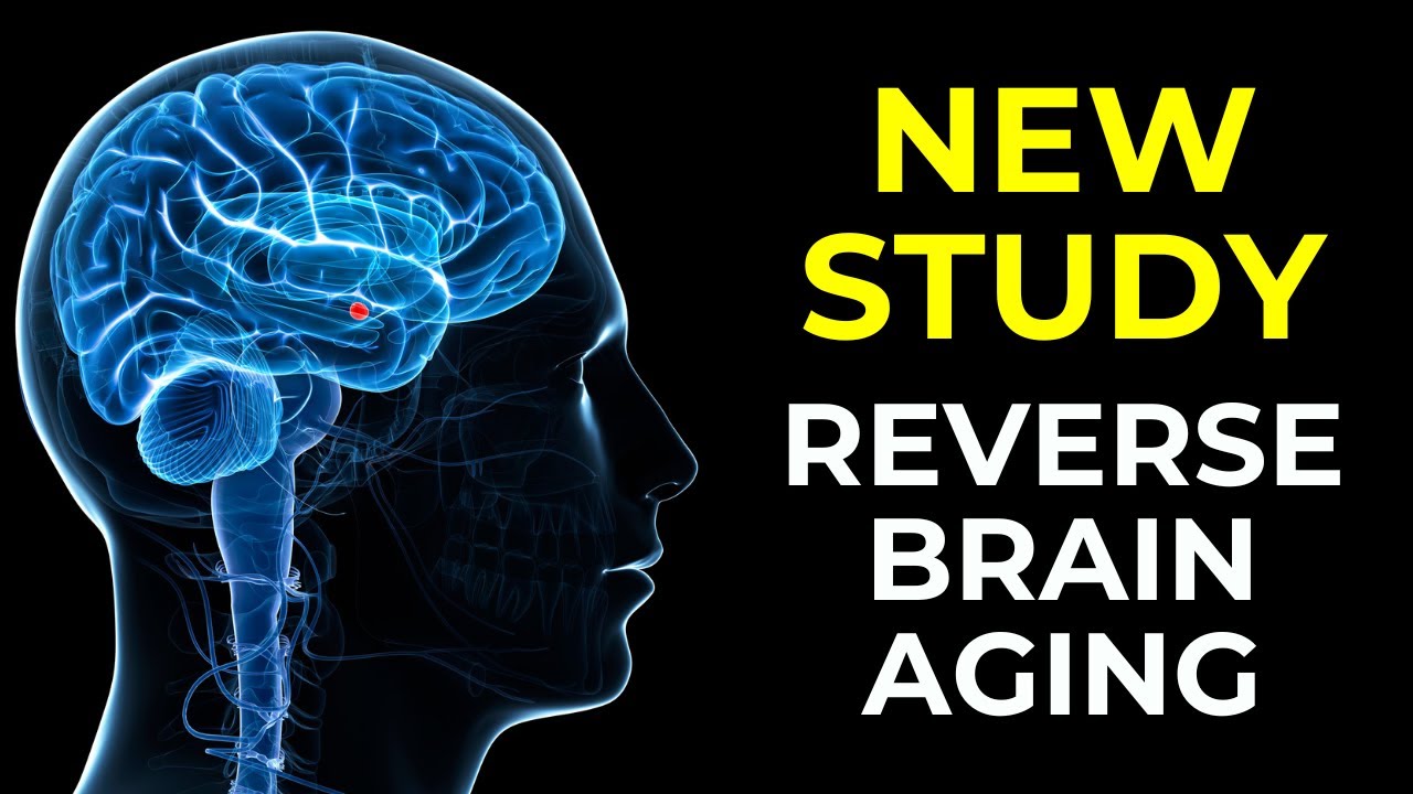 New Study: How to Reverse Aging in the Brain | Senior Living in Arizona