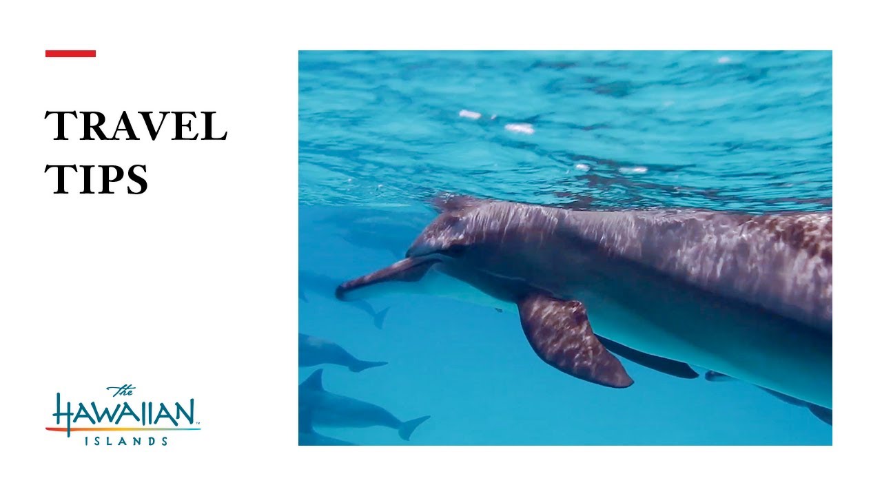 Hawai‘i Travel Tips: Ocean Conservation
