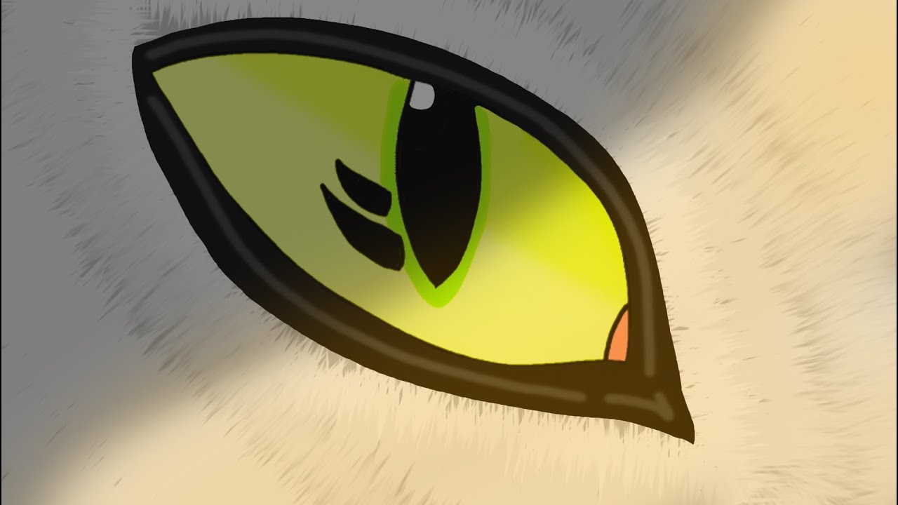Casualty Complete OC PMV
