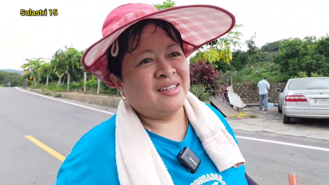 Sedih Sulastri 15 hanya di manfa'atkan saja ‼️ Babat rumput di sore hari.