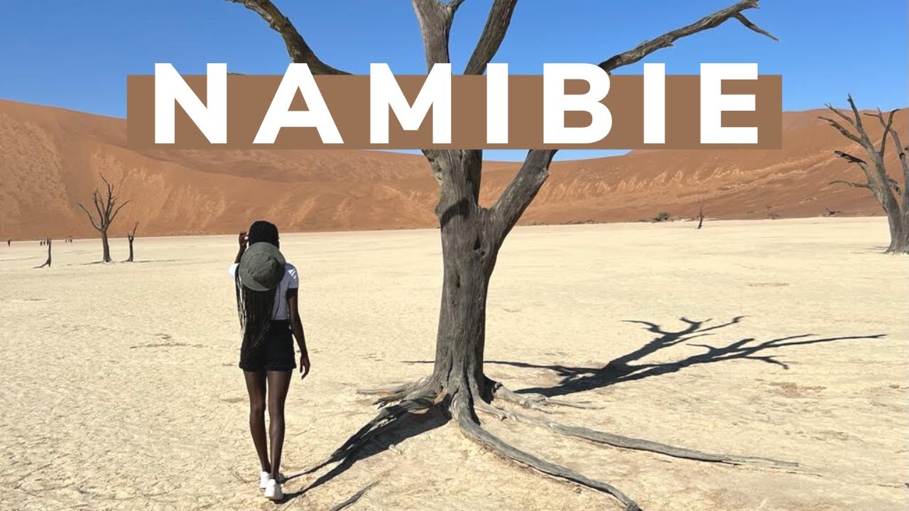 Road trip et Safari en Namibie : notre best voyage ever ! 😍