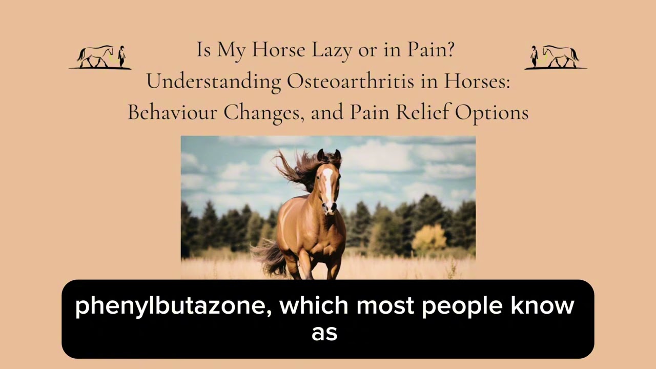 Horse Reluctant to Go Forward? Osteoarthritis in Horses Explained
