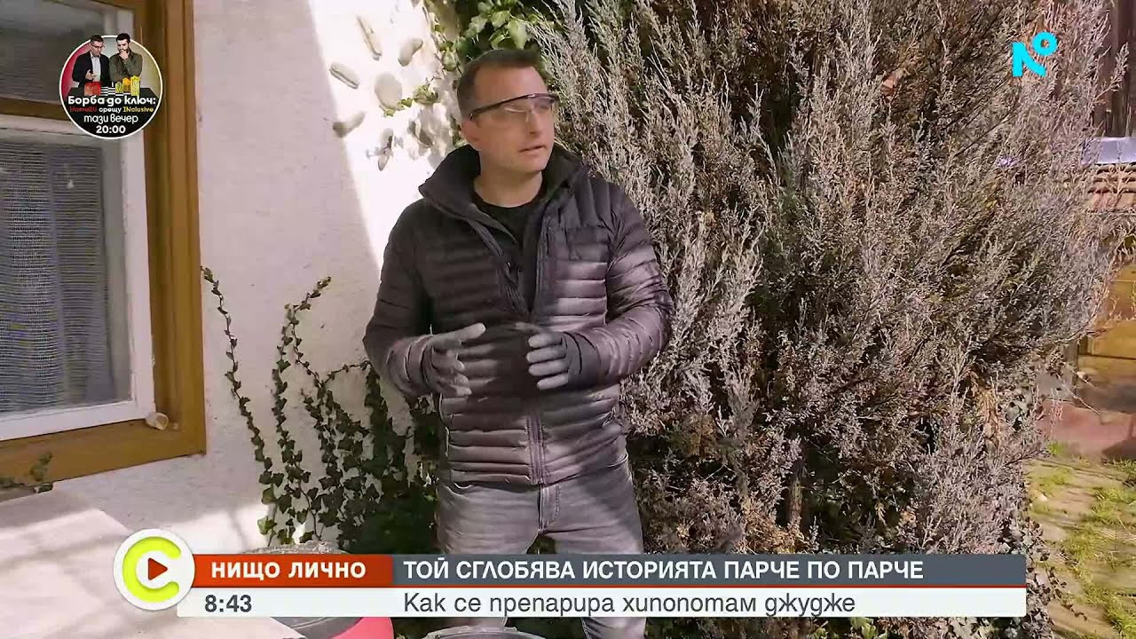 „Нищо лично”: Как се препарира хипопотам джудже