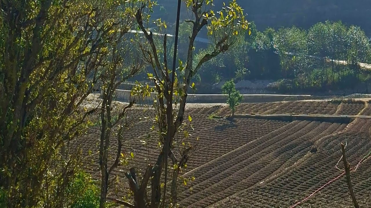  प्राकृतिक बेथानचोक,यहाँ बनेका स्थानिय खुवा स्वास्थ्यबर्दक,उत्कृष्ट र स्वादिष्ट मानिन्छ।