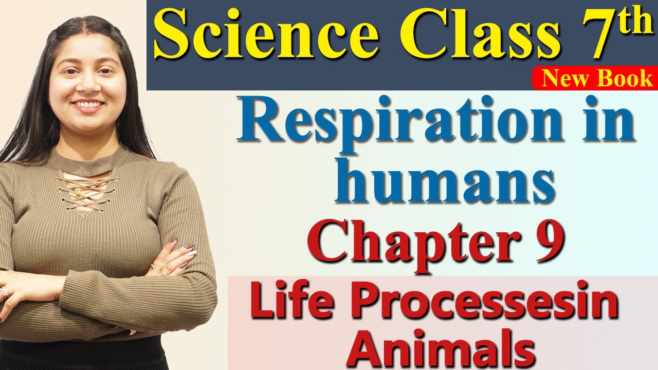 Respiration in humans , Chapter 9 Part 4 - Life Processesin Animals Science Curiosity Class 7 CBSE