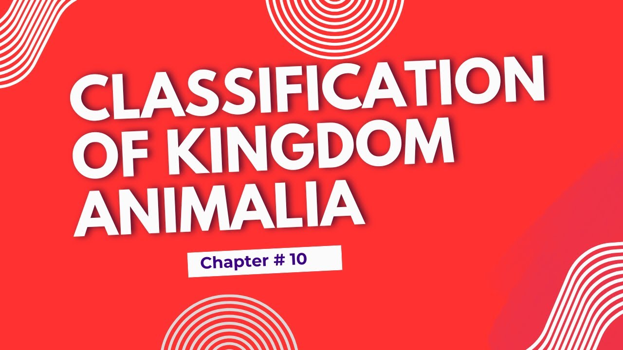 Classification of kingdom Animalia | Chapter#10 Biology 1st Year | Lecture 2 