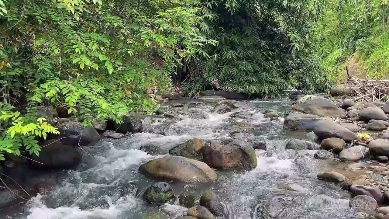 Gentle Forest River Flow for Deep Sleep, Stress Relief & Mental Reset Night Calm