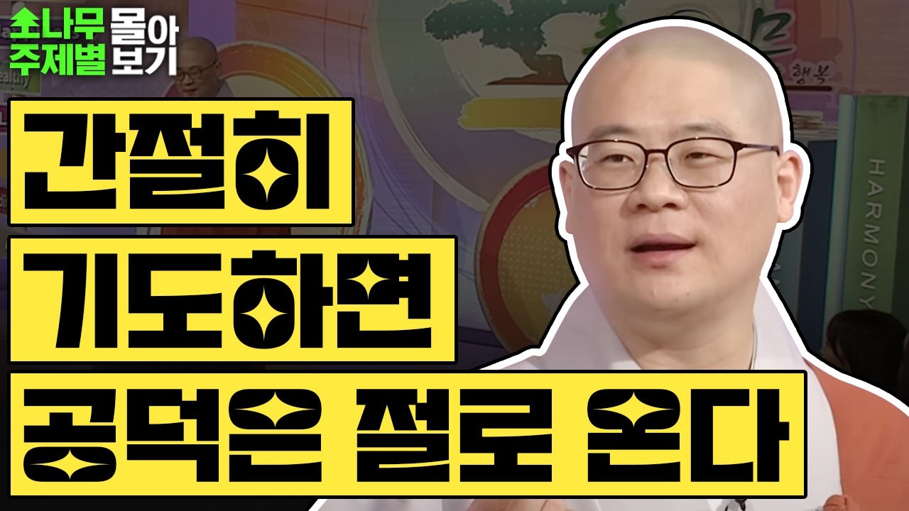 간절한 기도는 공덕이 저절로 찾아옵니다🍀  [광우스님 소나무 주제별 몰아보기]