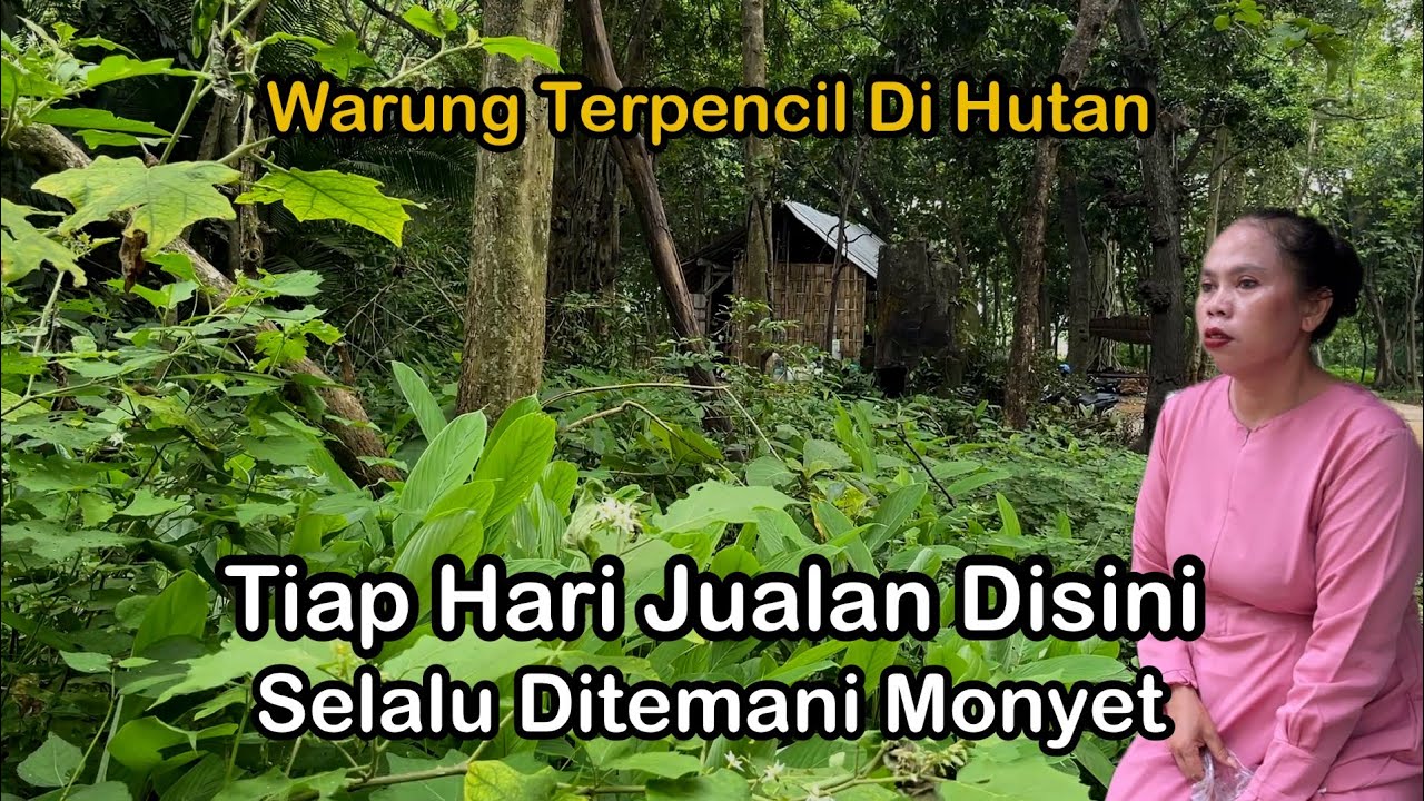 Warung Unik Sendiri Di Hutan Anehnya Banyak Pembeli Setiap Buka Selalu Ditemani Kera Plumpang Tuban