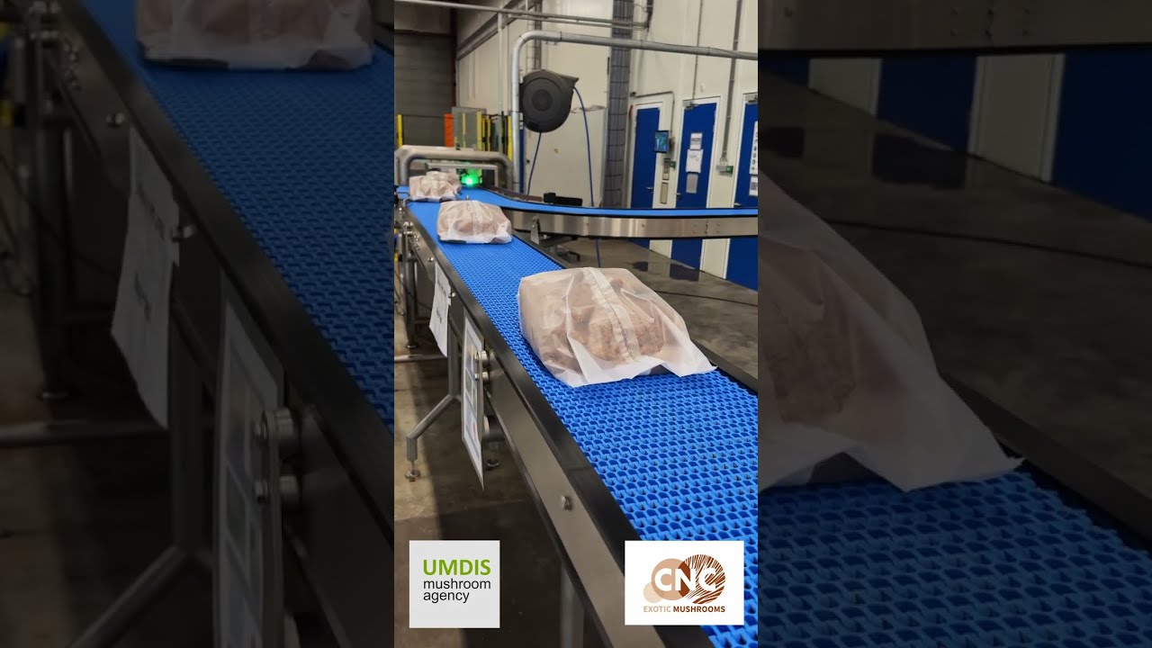 How CNC Exotic Mushrooms makes substrate for exotics?