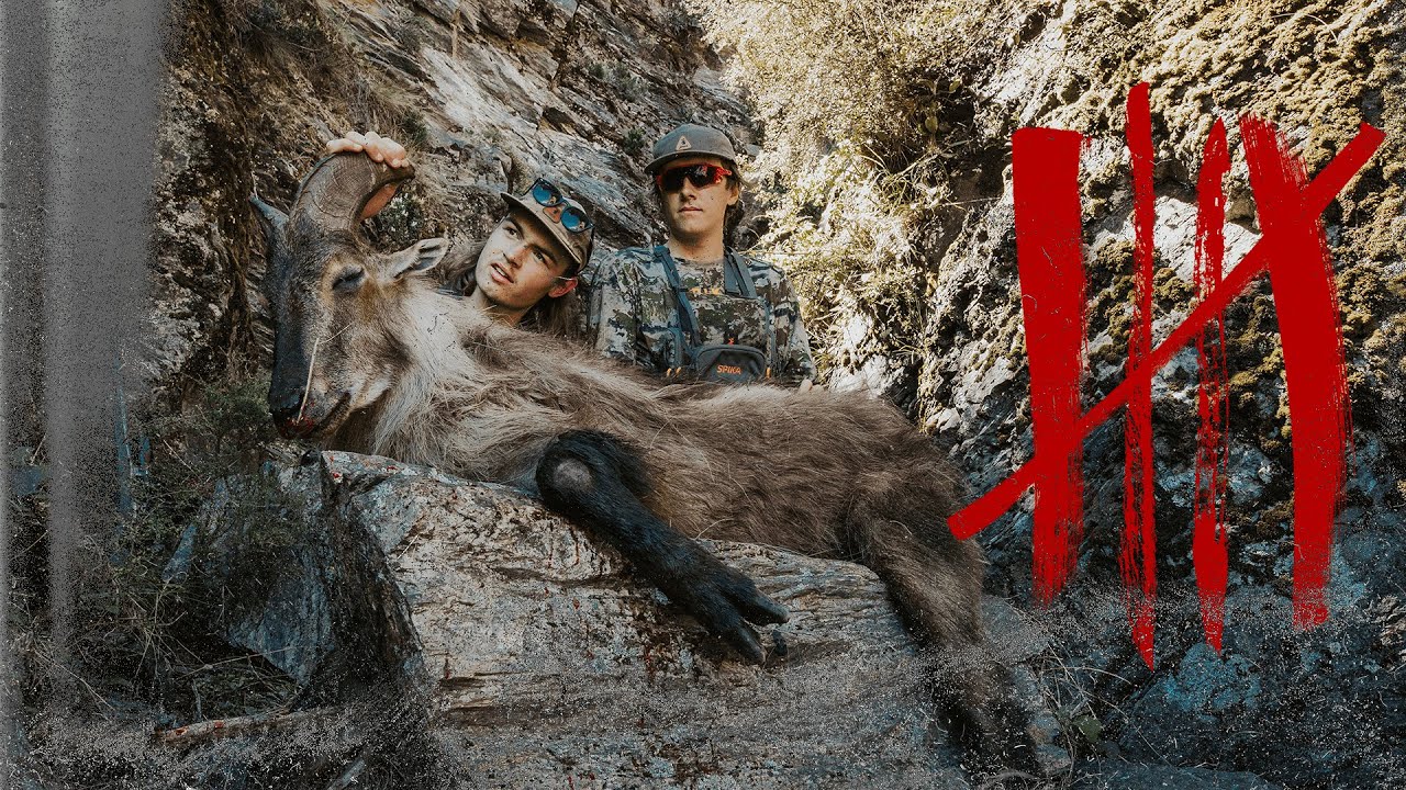 GIANT Bull Tahr and Chamois - Hunting New Zealand - Something Special