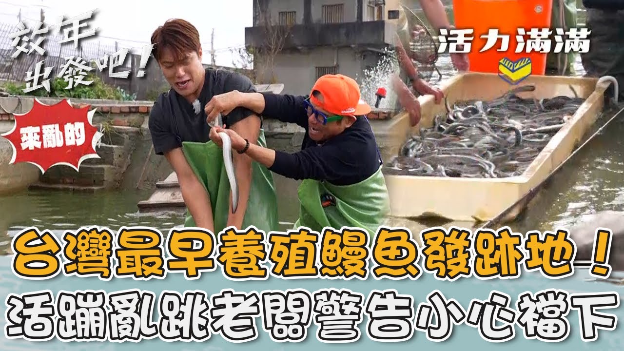 台灣最早養殖鰻魚發跡地！「鹿港鰻魚」活蹦亂跳老闆警告不要撞到襠下？【#效年出發吧】20260118 EP19 Part1｜📍彰化．福興 ．鹿港｜許效舜 張睿家