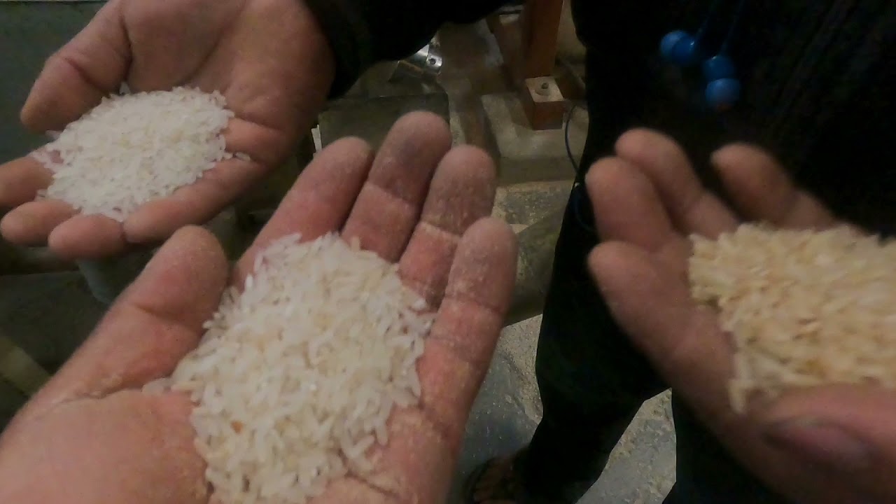 Arroz integral - arroz blanco, Aprendiendo en el Molino.