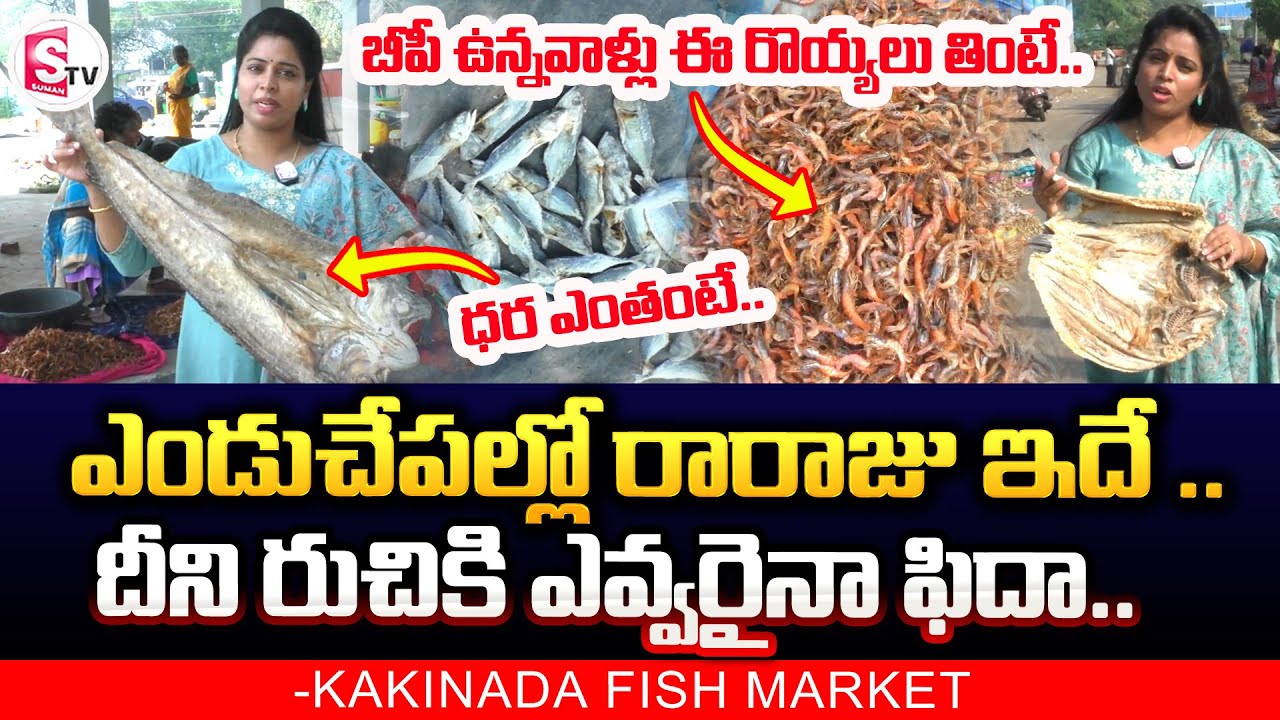 ఎండుచేపల్లో రారాజు ఇదే రుచికి ఎవ్వరైనా ఫిదా.. | Kakinada Famous Dry Fish Market@sumantv-Kakinada
