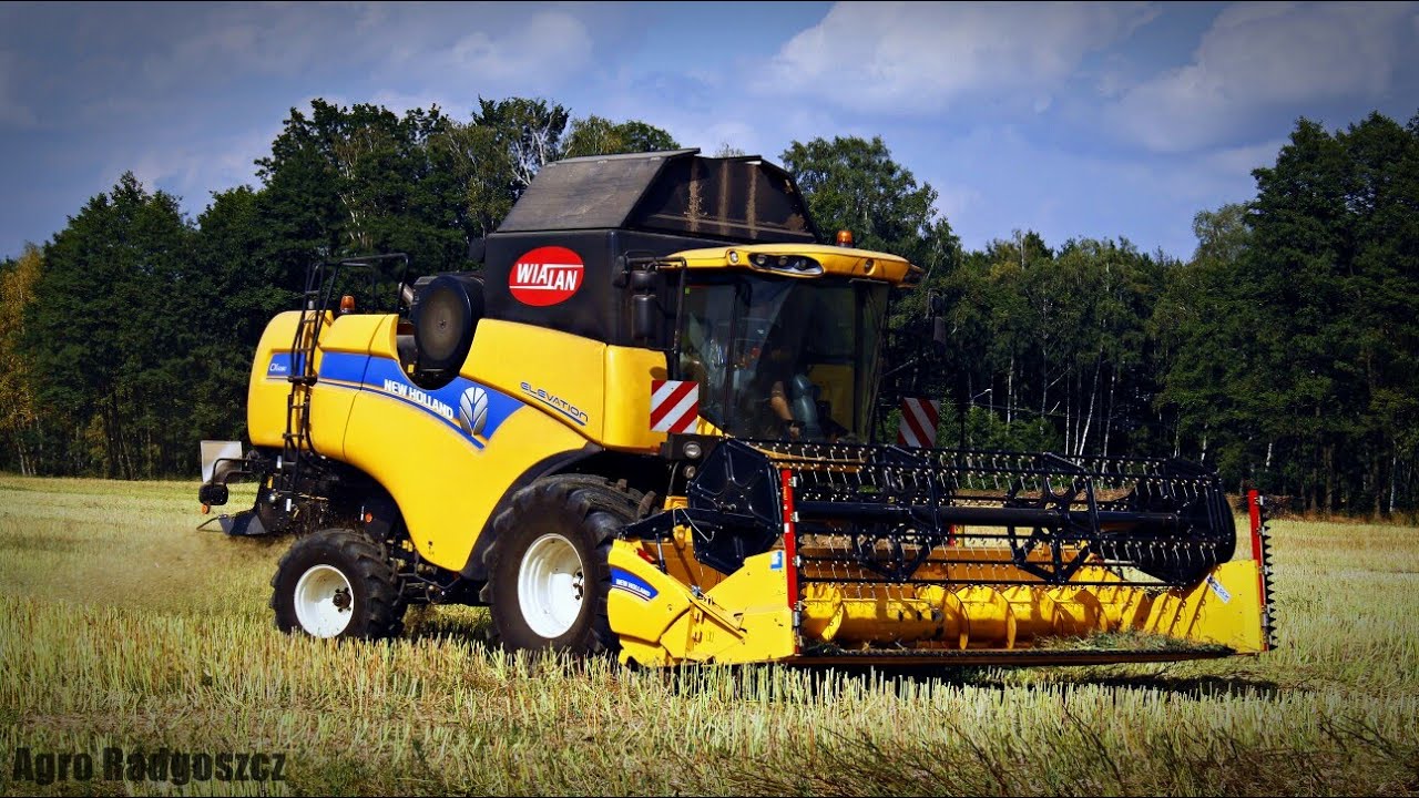 Żniwa Rzepaku 2017! New Holland CX5080