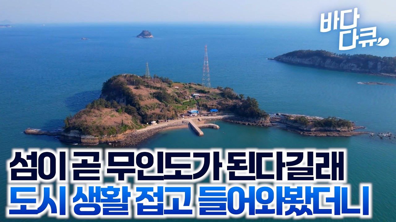 할아버지가 남겨주신 섬이 무인도가 된다길래 3년 전 고향으로 들어왔다. 추도를 지키며 홀로 사는 남자 / #바다다큐